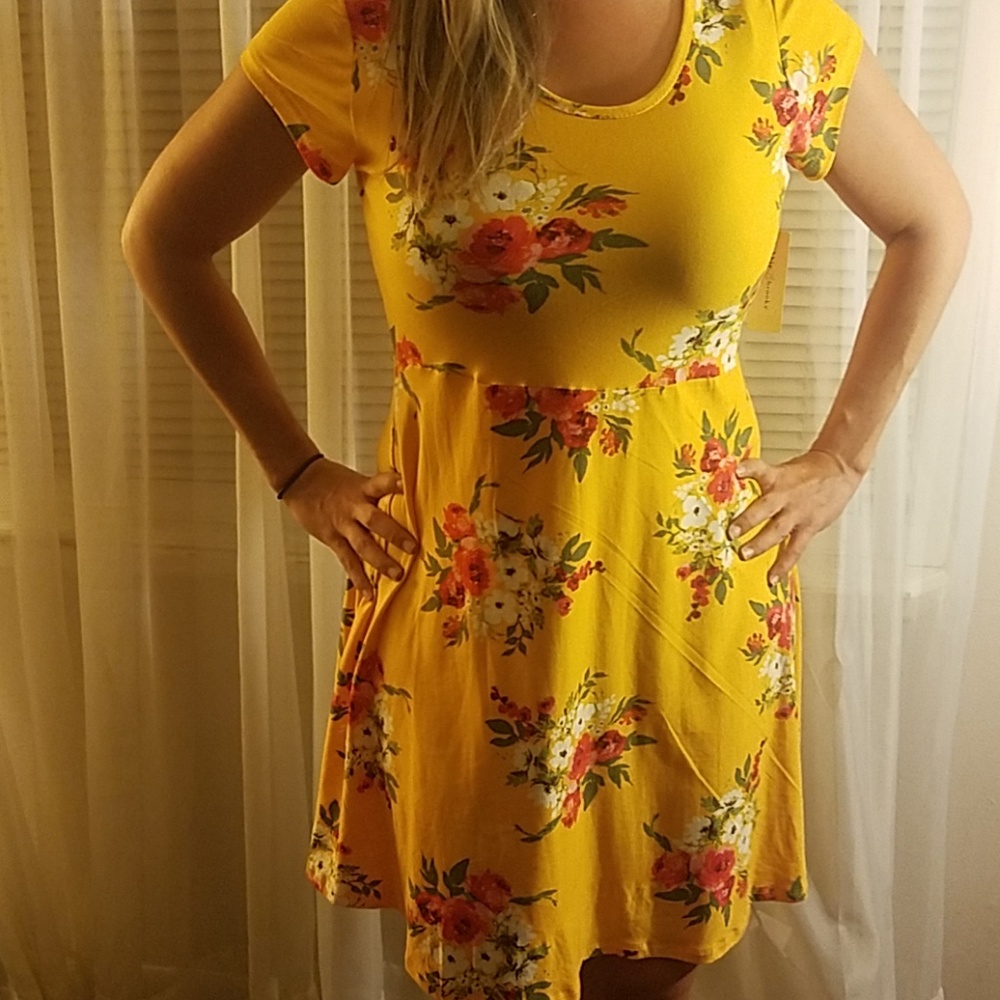 Nwt womens floral dress multiple sizes